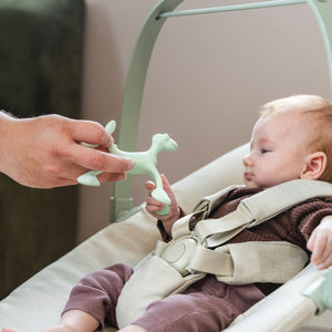 Baby Spielzeug Silikon grün
